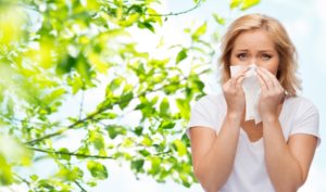 Manage Hay Fever Symptoms Tampa FL